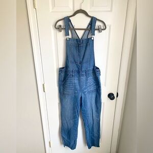 Madewell Skinny Slim Leg Blue Denim Overalls in Kemp Wash